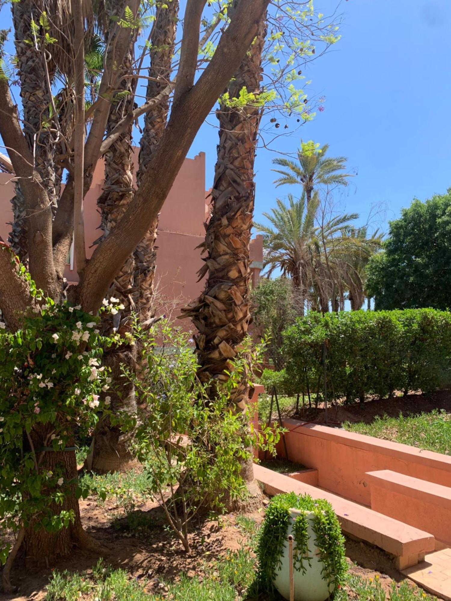 Villa Avec Piscine Privatisee A La Palmeraie Marrakesh Eksteriør billede