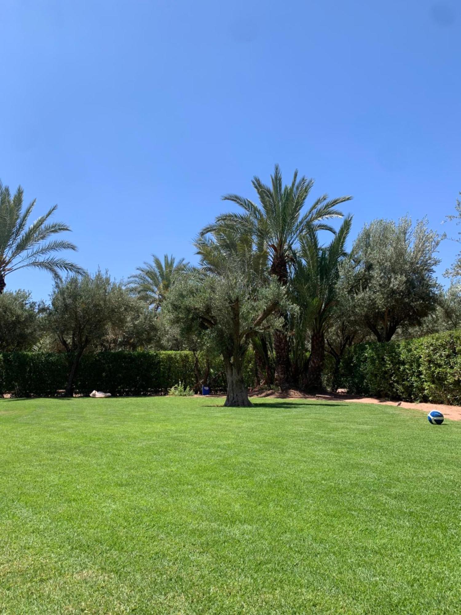 Villa Avec Piscine Privatisee A La Palmeraie Marrakesh Eksteriør billede