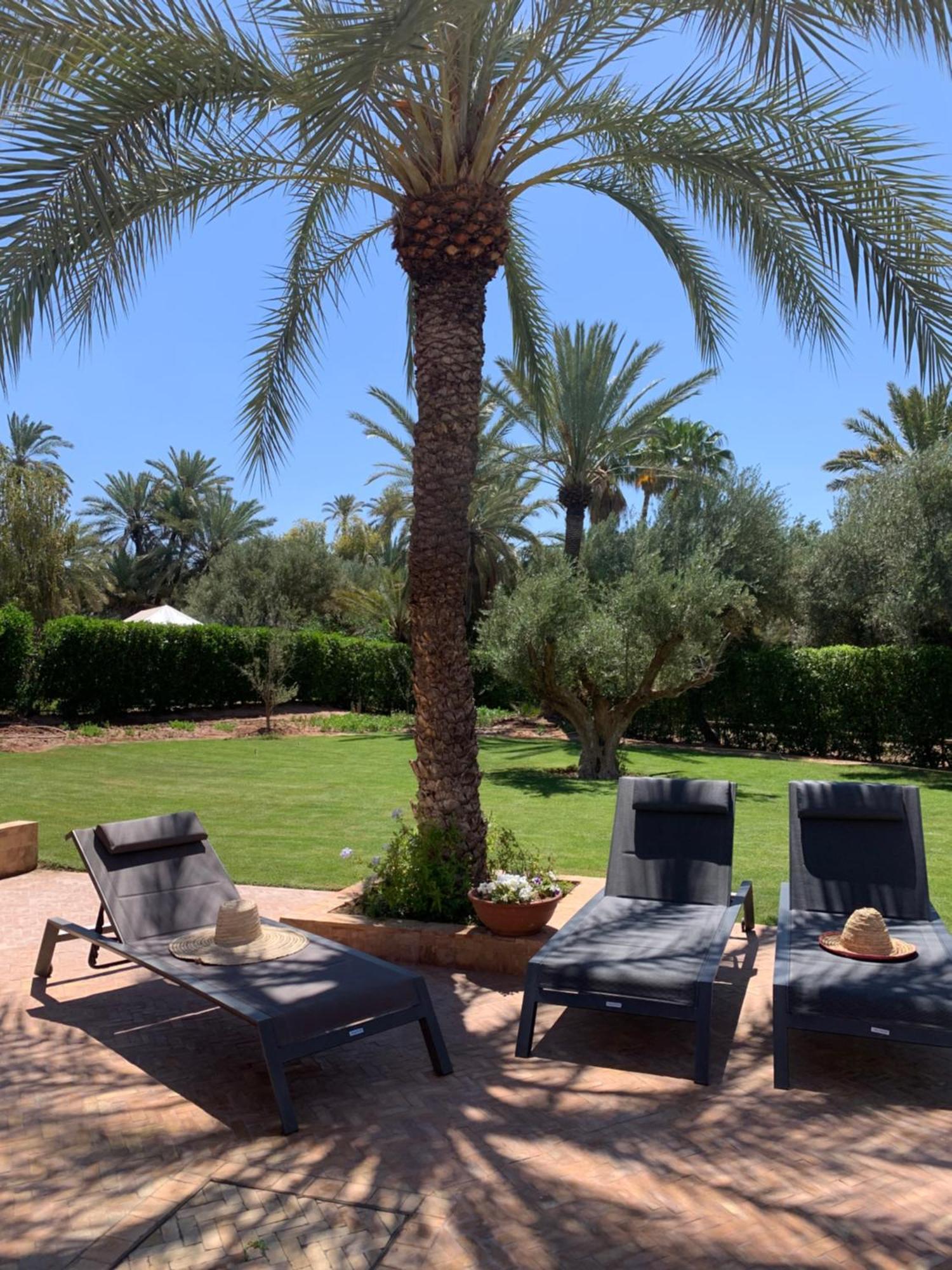 Villa Avec Piscine Privatisee A La Palmeraie Marrakesh Eksteriør billede