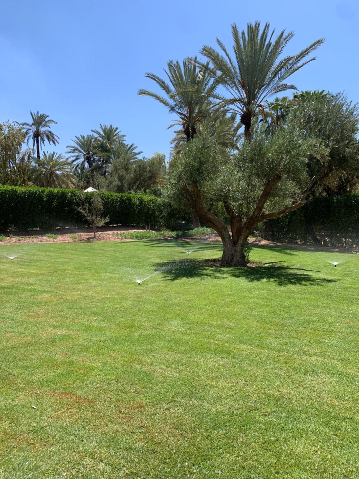 Villa Avec Piscine Privatisee A La Palmeraie Marrakesh Eksteriør billede