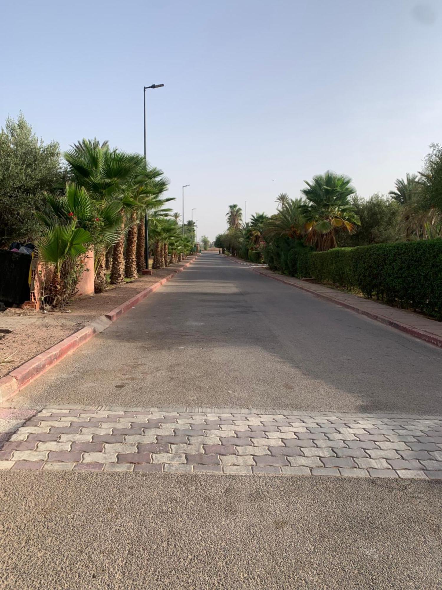 Villa Avec Piscine Privatisee A La Palmeraie Marrakesh Eksteriør billede